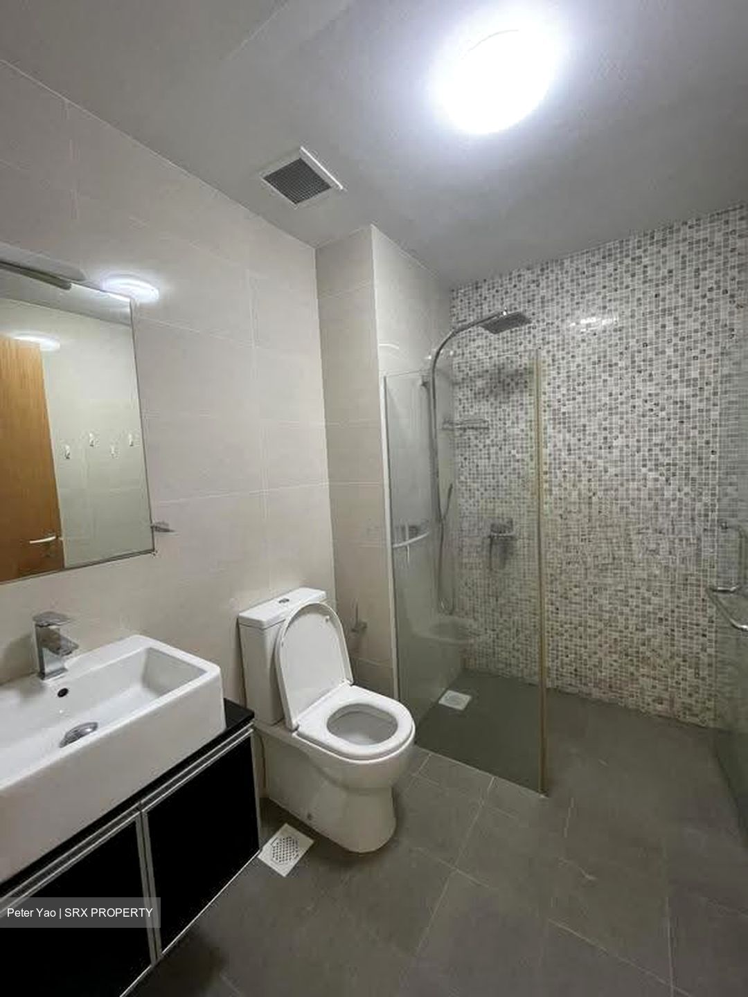 Loft @ Stevens (D10), Apartment #621630591